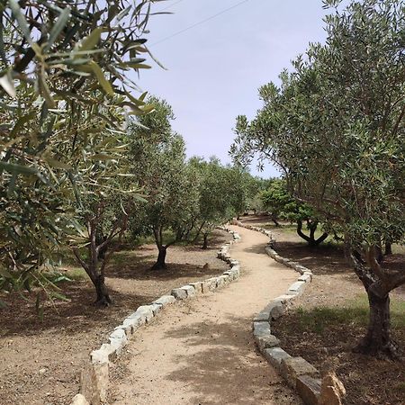 Stazzu Barecca B&B Cugnana Verde Экстерьер фото